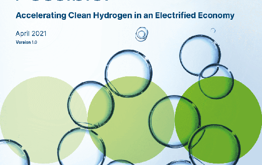 Making the Hydrogen Economy Possible: Accelerating Clean Hydrogen in an Electrified Economy Front Cover