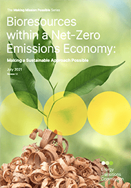 Bioresources within a Net-Zero Emissions Economy Front Cover