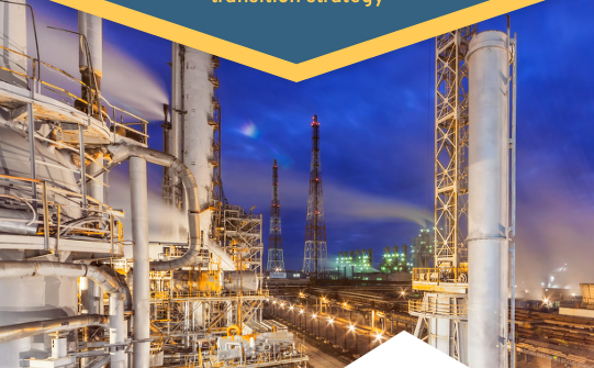 MPP Ammonia STS Report Cover
