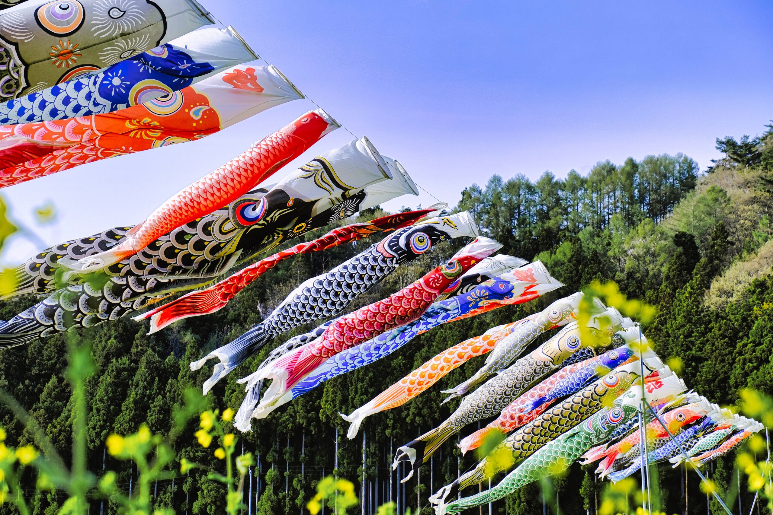 Photo of japanese kites